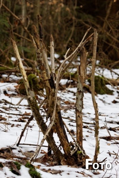 Niederbrechen im Winter