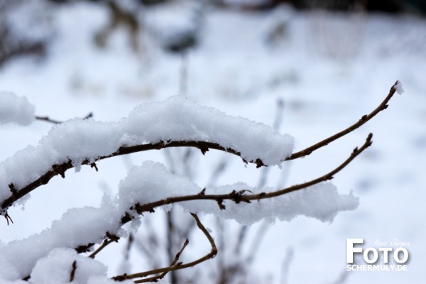 Niederbrechen im Winter