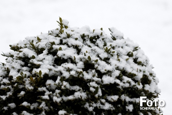 Niederbrechen im Winter