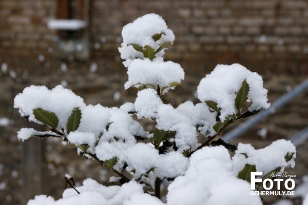 Niederbrechen im Winter