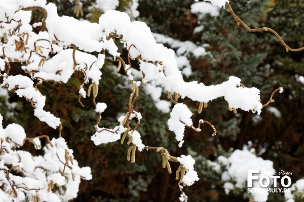 Niederbrechen im Winter