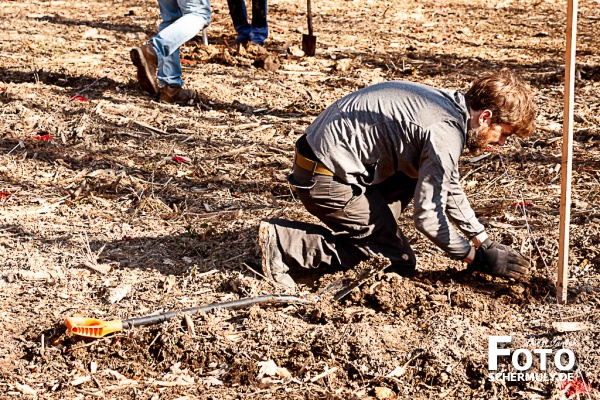 2022.03.19_1250 Baum-Pfanzaktion in Oberbrechen (118 von 157)