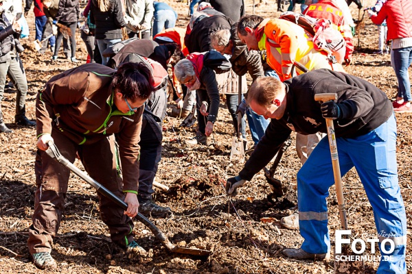 2022.03.19_1250 Baum-Pfanzaktion in Oberbrechen (129 von 157)