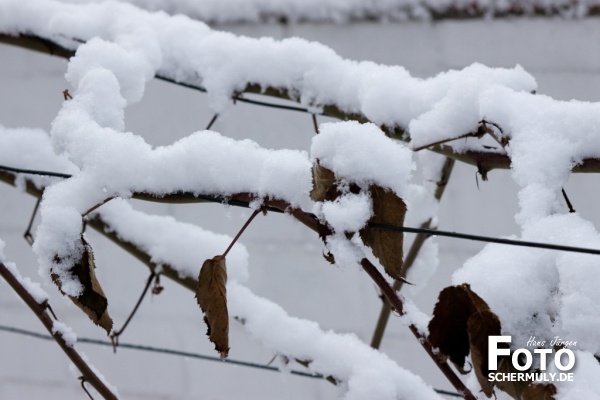 Niederbrechen im Winter