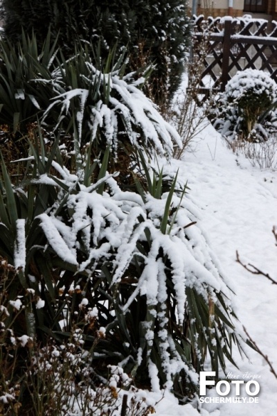 Niederbrechen im Winter