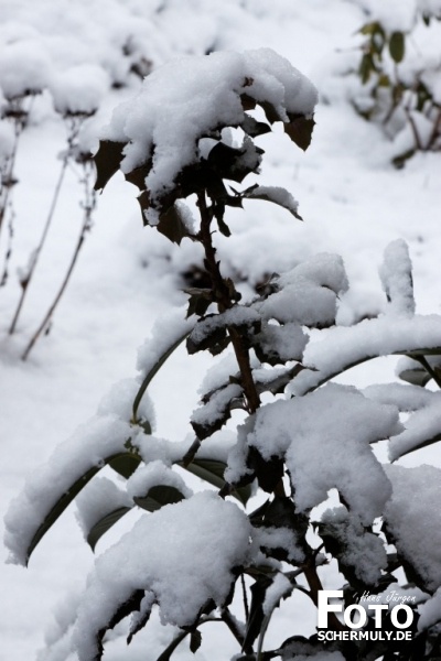 Niederbrechen im Winter