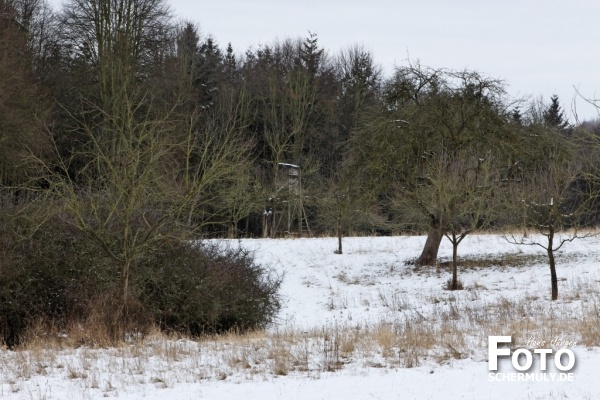 Niederbrechen im Winter