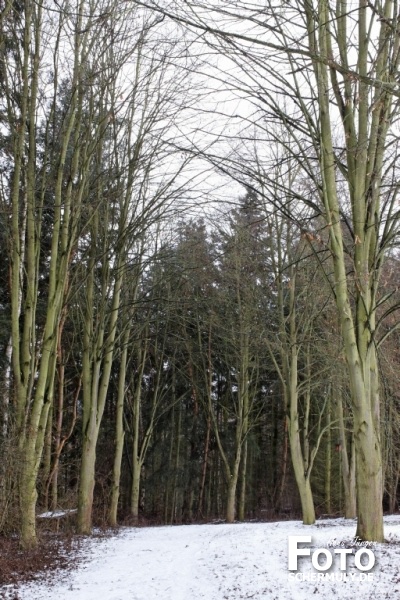 Niederbrechen im Winter