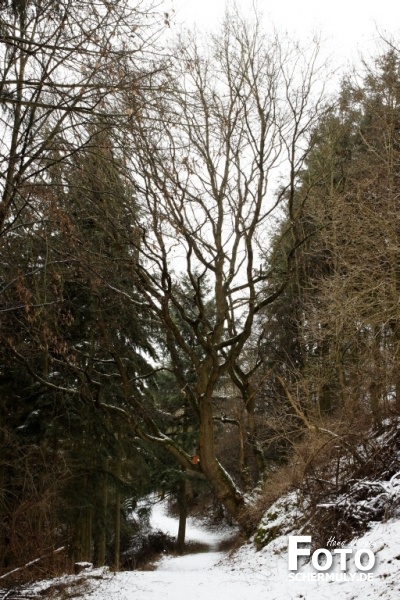 Niederbrechen im Winter