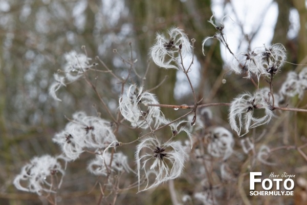 Niederbrechen im Winter