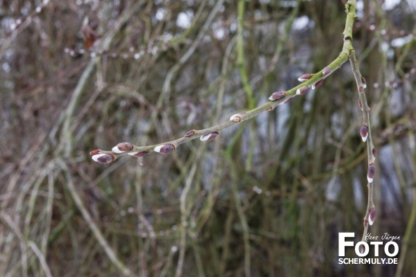 Niederbrechen im Winter