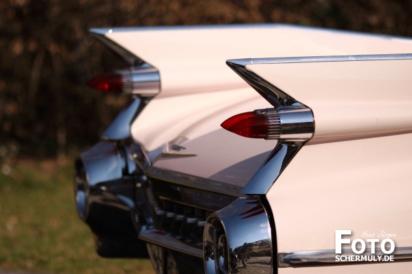 Mitten aus dem Leben