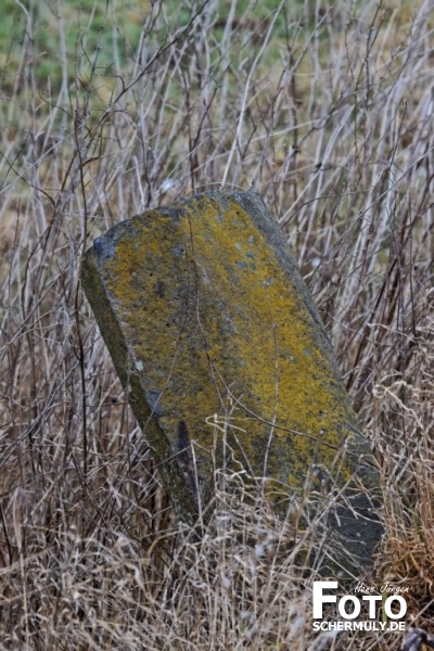 Mitten aus dem Leben